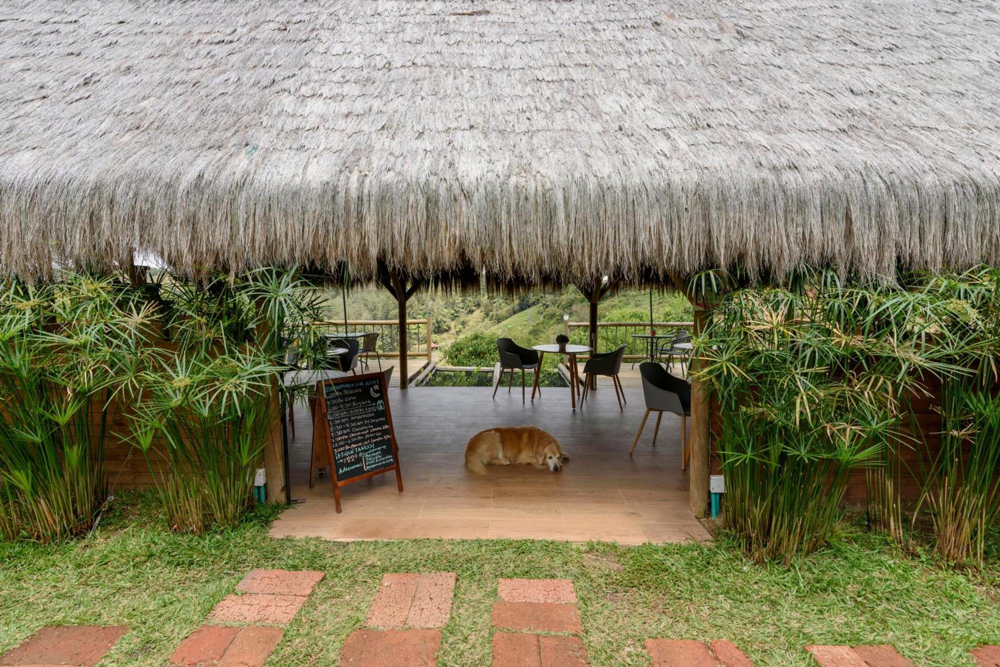 Levit Glamping - Hotel Guatape Penol (Adults Only) Екстериор снимка